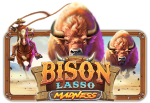 Bison Lasso Madness